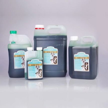 Sorb-Vit B