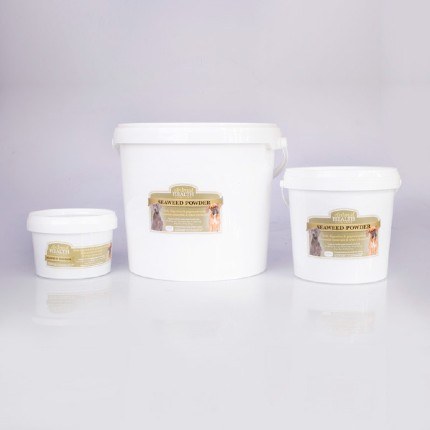 Seaweed Powder
