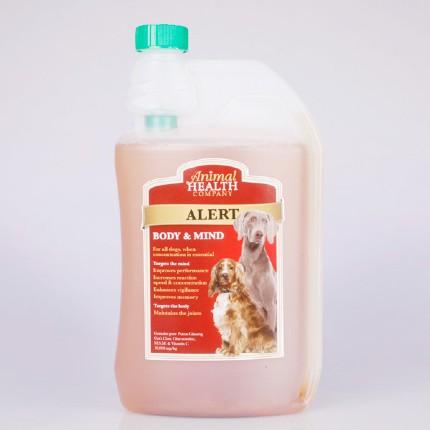 Alert