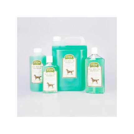Tea Tree Shampoo
