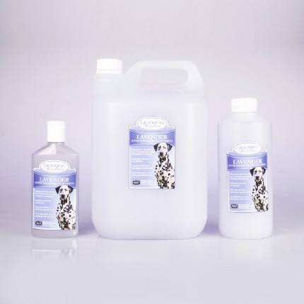 dog shampoo