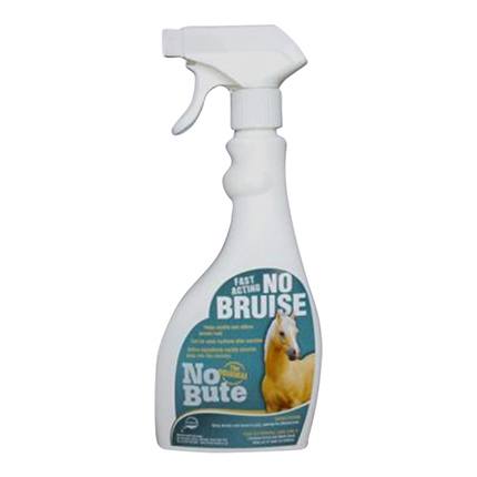 No Bruise Equine