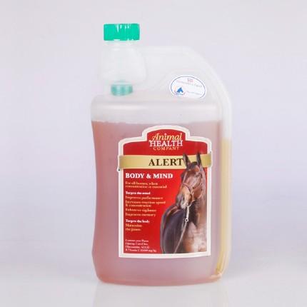 Alert Equine