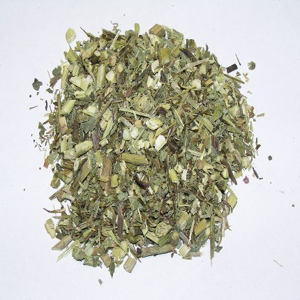 Echinacea