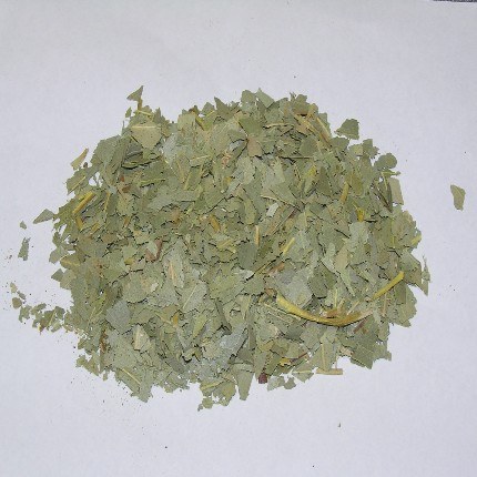 Eucalyptus Leaves