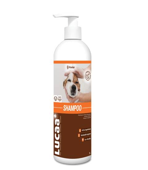 Probiotic Shampoo